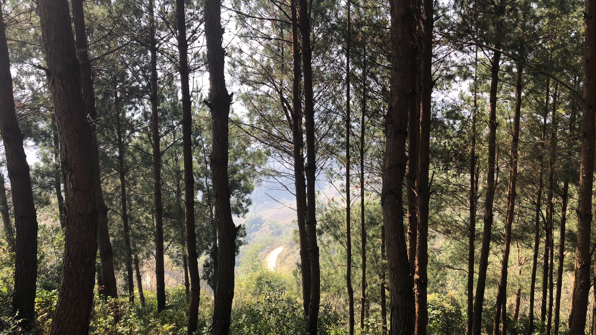 7 Days Sapa Loop Experience Tour